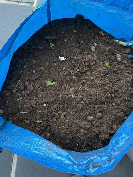 Photo of free Bag of topsoil (St Margarets TW1) #1