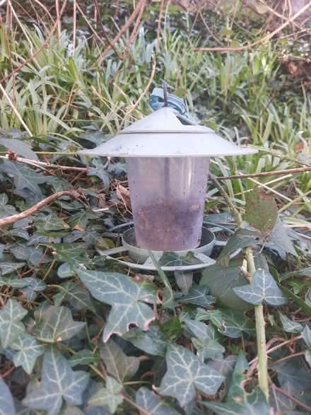 Photo of free Bird feeder (Meadowbank, EH8) #2