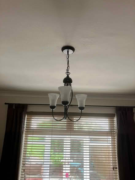 Photo of free Ceiling lights (Ludlow SY8) #1