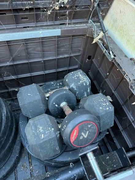 Photo of free Dumbbells (Rathgar) #2