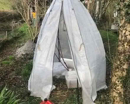 Photo of free Pop-up greenhouse or garden tent (Stoke St Milborough SY8) #1