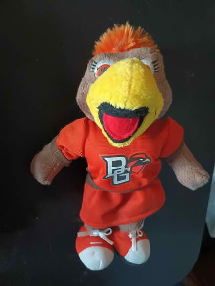 Photo of free Bowling Green S U Mascot (Virginia Beach - Salem Lakes) #4