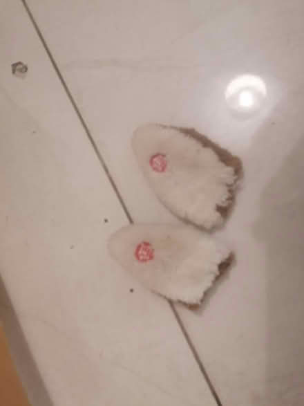 Photo of free Small rocking horse (Hunts Cross L25) #4