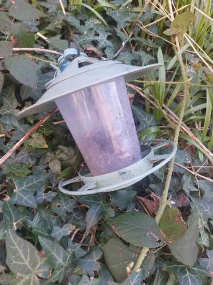 Photo of free Bird feeder (Meadowbank, EH8) #1