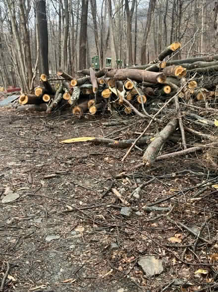 Photo of free Timber (Beacon) #2