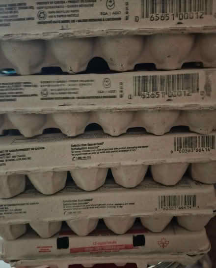 Photo of free 9 egg cartons (Wellington Village) #1