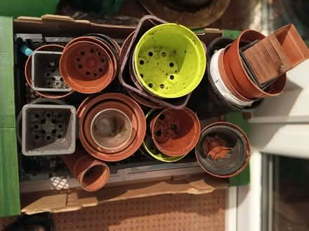 Photo of free Flower Pots (CT9) #1