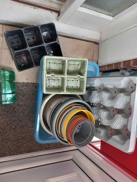 Photo of free Plant pots anyone? (Trowbridge hilperton BA14 7) #1