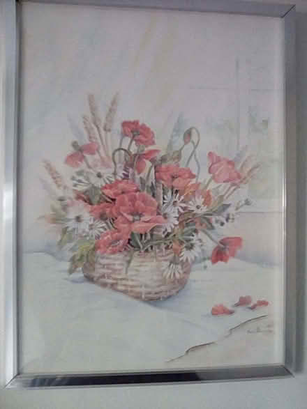 Photo of free Framed Poppy Pictures (Hayling Island PO11) #1
