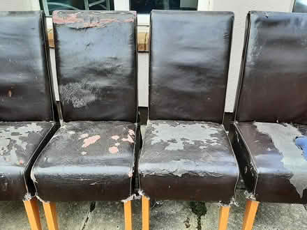 Photo of free 6 dining room chairs (Delgany) #4