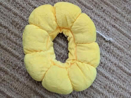 Photo of free kitten bits (snodland) #1