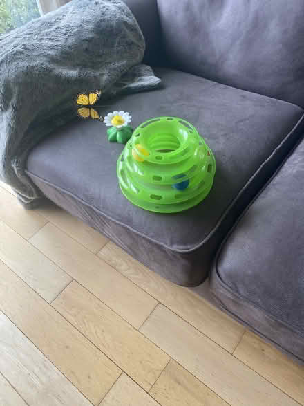 Photo of free Cat Toys (Liberton EH16) #2
