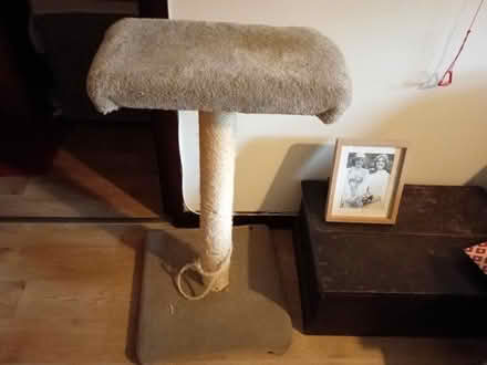 Photo of free Large Cat Scratching Post (Shoebury SS3) #1