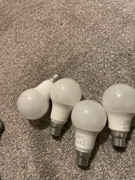 Photo of free Light bulbs (Malvern WR14) #1