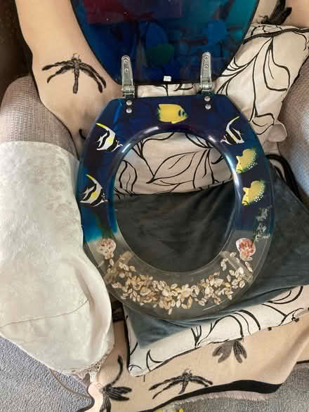 Photo of free Fish decorated toilet seat (Clayton le Woods PR6) #3