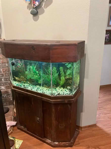Photo of free Aquarium (East OLympia) #1