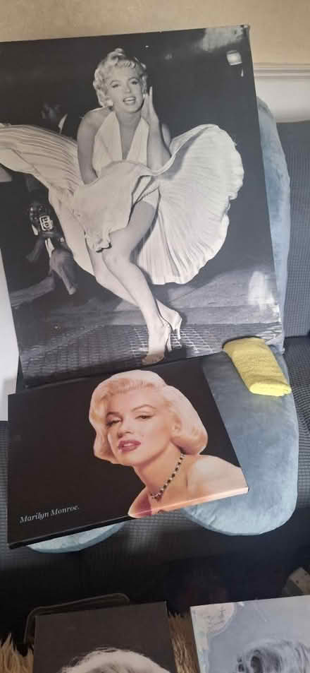 Photo of free 6 Marilyn Monroe Canvases (Welling DA16) #3