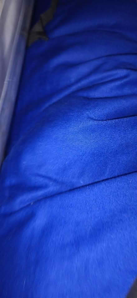 Photo of free Large cotton covered shiatsu futon (Church RG2) #1