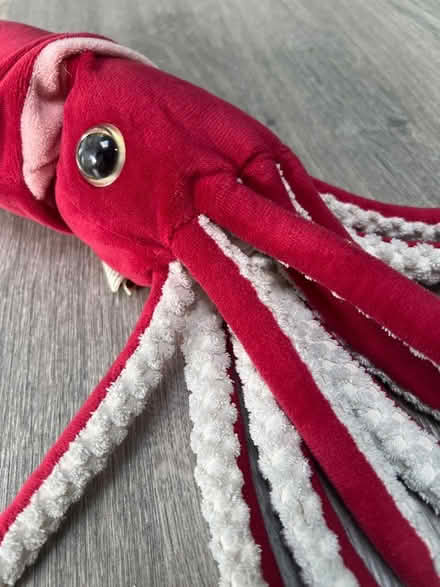Photo of free Nature Planet Kraken the Giant Squid Plush. (Southsea PO4) #2
