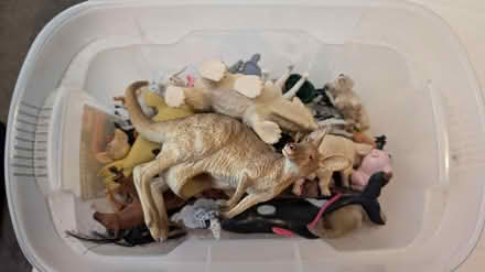 Photo of free Big box of plastic animals (Bishop's Stortford) #2