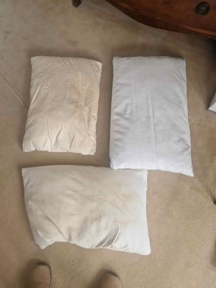 Photo of free 3 feather pillows (Southborough) #1