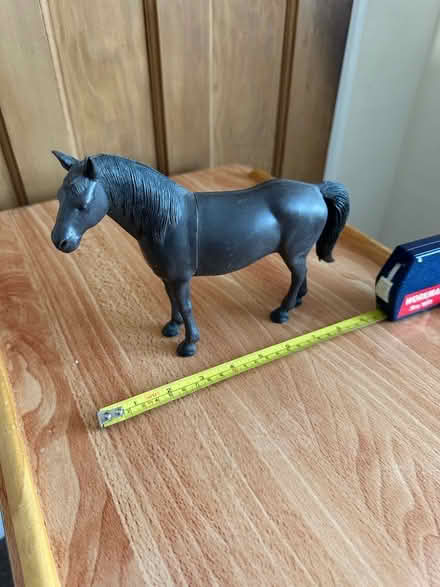 Photo of free Model horse (Patchway BS34) #1