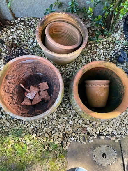 Photo of free Terracotta Plant Pots (Shenley WD7) #2