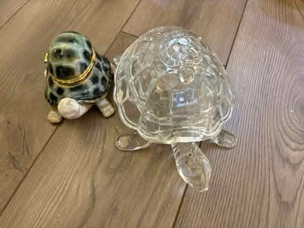 Photo of free Turtle storage (Bowie) #1