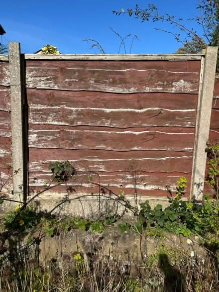 Photo of free 20 x fence panels (Lymm) #1