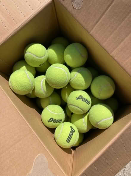 Photo of free Lots of almost new tennis balls (Foothill Boulevard Cupertino) #1