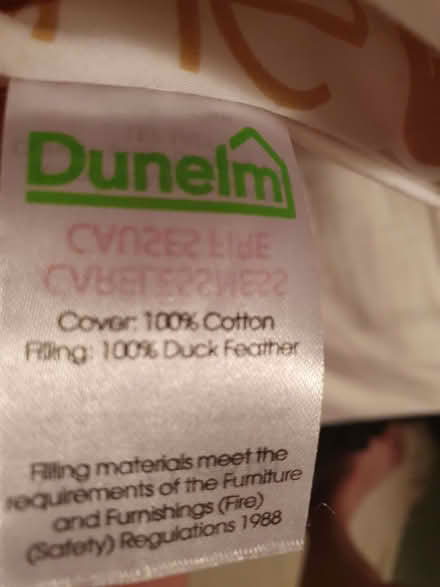 Photo of free duck feather pillow (New Greens AL3) #2