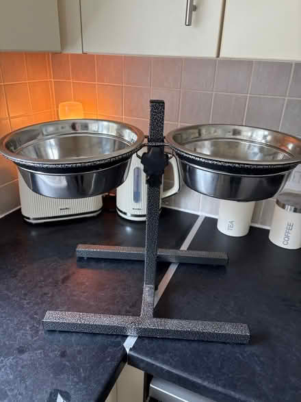 Photo of free Dog bowls (Axminster) #1