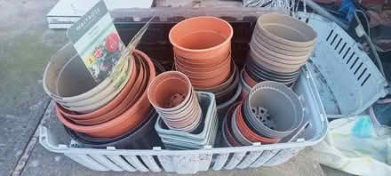 Photo of free Plant pods loads item to go (Sharow S11) #2