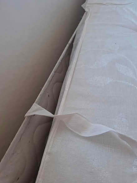 Photo of free Single bed with mattress (Shipley BD18) #2