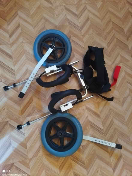 Photo of free Dog Wheels/wheelchair (Matlock DE4) #1