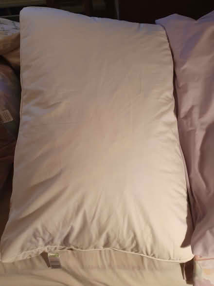 Photo of free duck feather pillow (New Greens AL3) #1