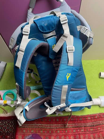 Photo of free Childs carry backpack (Dutton PR3) #1