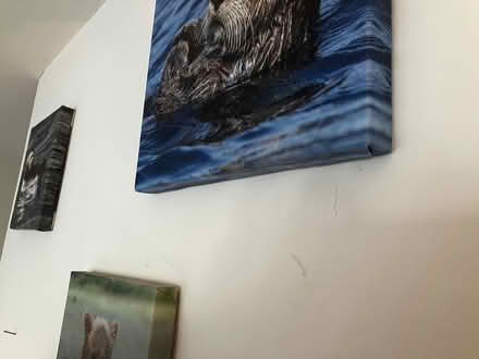 Photo of free Framed prints (Bethesda) #3