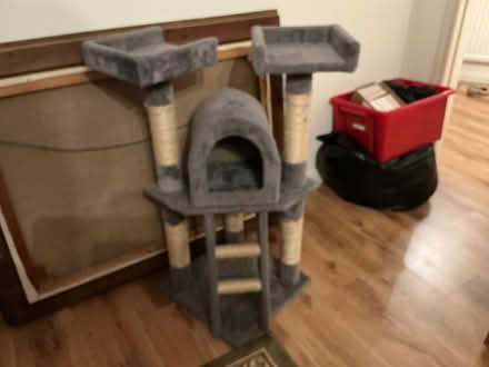 Photo of free Cat tree (Witherslack LA11) #1