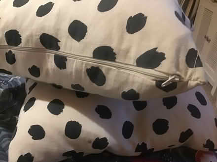 Photo of free X2 feather filled cushions (Brentry BS10) #2
