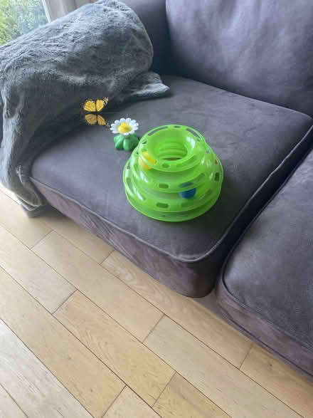 Photo of free Cat Toys (Liberton EH16) #1