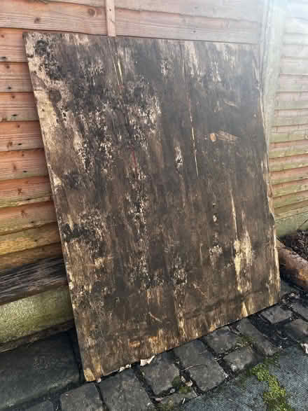 Photo of free Marine ply sheet (Hulme M16) #1