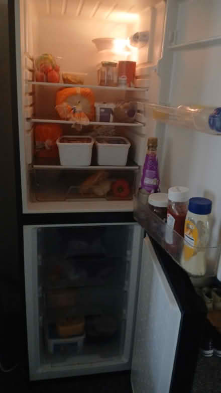 Photo of free 2 doubles sofa and 2 singles (IP33 3NU) #1