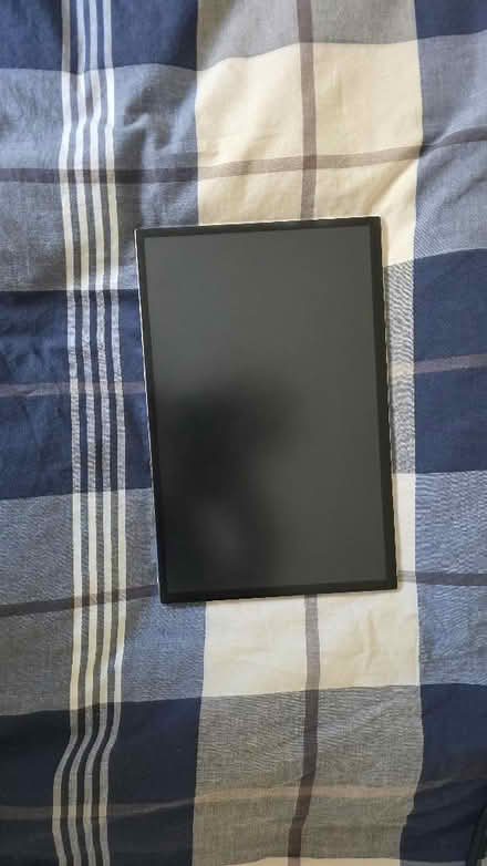 Photo of free LCD screen from a laptop (Wildridings RG12) #1