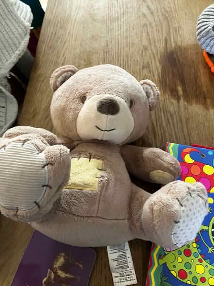 Photo of free Talking bear sensory toy (New Hinksey OX1) #1