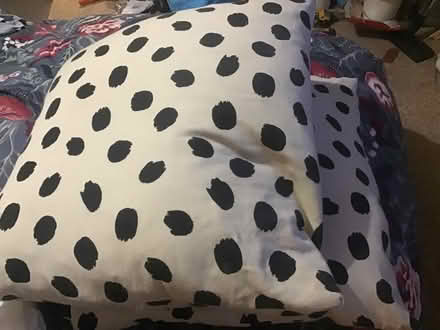 Photo of free X2 feather filled cushions (Brentry BS10) #3