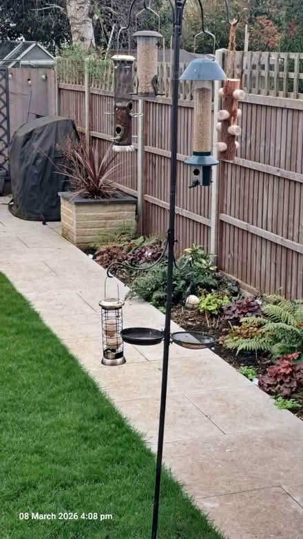 Photo of free Bird feeding station (Linslade, Leighton Buzzard LU7) #2