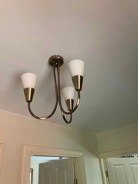 Photo of free Ceiling lights (Ludlow SY8) #2