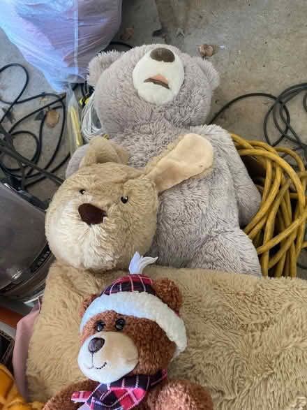 Photo of free Teddy bears and stuffed dog (Foothill Boulevard Cupertino) #1