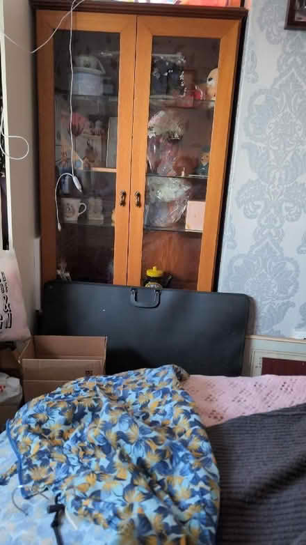 Photo of free Brown Glass Door Cabinet (BD22) #1